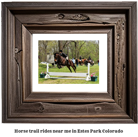 horse trail rides near me in Estes Park, Colorado